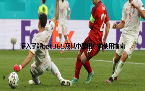 深入了解bet365及其中国用户的使用指南